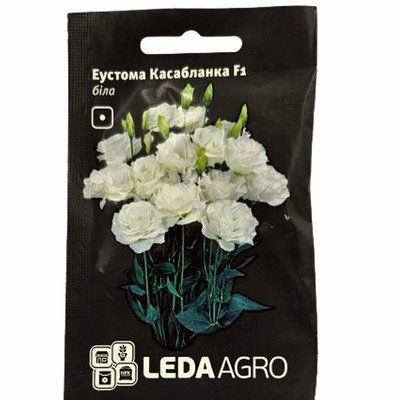Еустома Касабланка(біла) F1, 5 нас(LEDAAGRO)