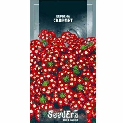 Насіння квітів Вербена гібридна Скарлет , 0,2 г(Seedera)