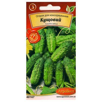 Насіння огірка Кущовий , 1 г (АгроВест)