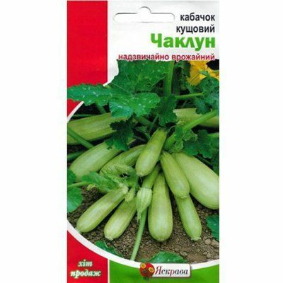 Насіння кабачка Чаклун , 3 г (Яскрава)