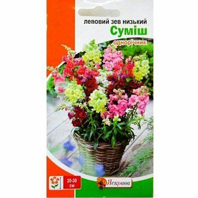 Насіння квітів Левовий зев низький суміш 0,2 г (Яскрава)