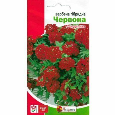 Насіння квітів Вербена гібридна Червона, 0,1 г (Яскрава)