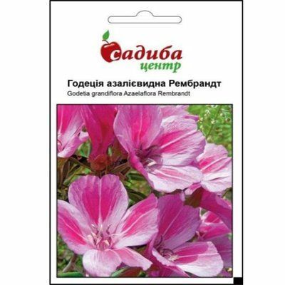 Годеція азалієвидна Рембрандт 0,2 г (Садиба Центр)