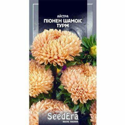 Айстра високоросла Піонен Шамоіс Турм Seedera, 0,25 г