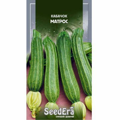 Насіння кабачка Матрос (цукіні) Seedera, 2 г