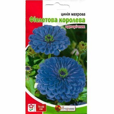 Насіння квітів Цинія махрова Фіолетова Королева 0,5 г (Яскрава)