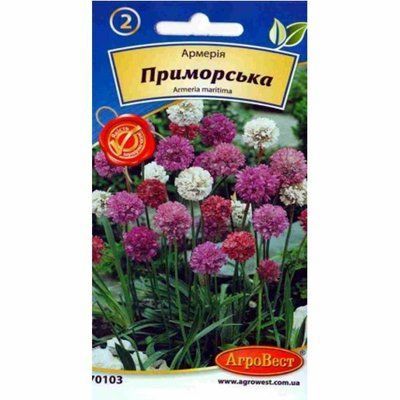 Квіти Армерія приморська 0,1 г (АгроВест)