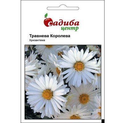 Хризантема Травнева Королева 0,1 г (Садиба Центр)