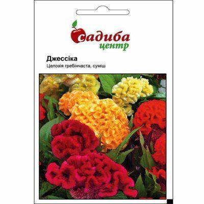 Целозія гребінчаста Джессіка, суміш 0,03 г. (Садиба Центр)