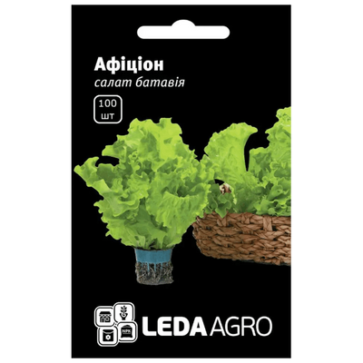Насіння салату Афіціон, 100 шт (Leda Agro)