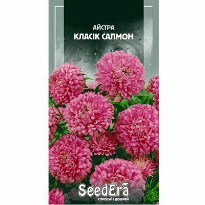 Насіння квітів Айстра низькоросла Класік Салмон 0,25 г (Seedera)