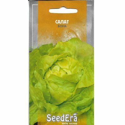 Насіння салату Бона (качанний зелений), 1 г( Seedera)