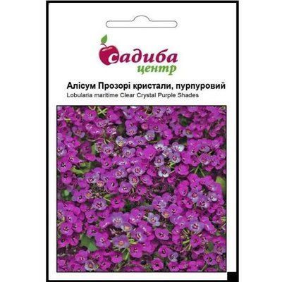 Алісум Прозорі кристали, пурпуровий 50 гранул (СадибаЦентр)