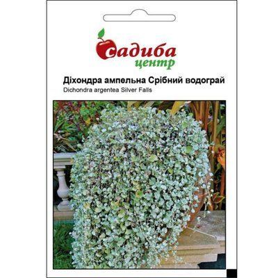 Діхондра Срібний водограй 5 нас (Садиба Центр)