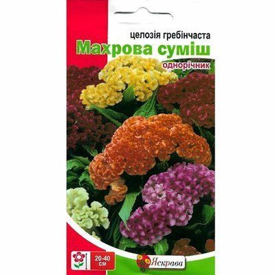 Целозія Гребінчаста махрова суміш 0,3 г (Яскрава)