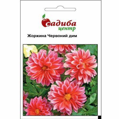 Насіння квітів жоржина Червоний Дим, 0,1 г (Садиба Центр)
