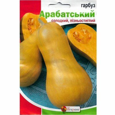 Насіння гарбуза столового Арабатський, 10 г (Яскрава)