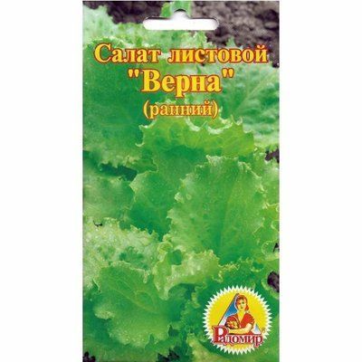 Насіння салату Верна, 2 г (Радомир)