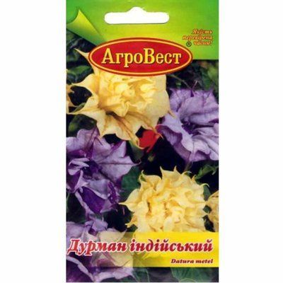 Дурман індійський 5 шт (АгроВест)