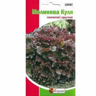 Насіння салату Малинова Куля, 1 г (Яскрава)
