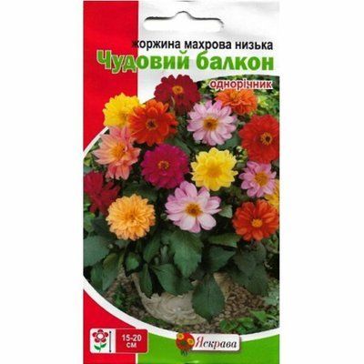 Жоржини Чудовий балкон 0,3 г (Яскрава)