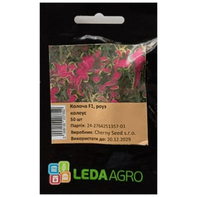 Насіння квітів Колеус Колоча F1 (Роуз), 50 шт (Leda Agro)