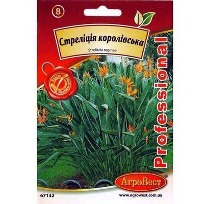 Насіння квітів Стреліція королівська Райська пташка 5 шт (АгроВест)
