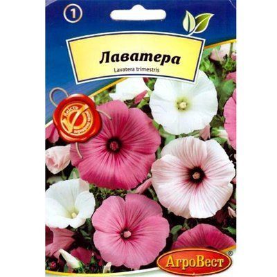 Квіти Лаватера 0,5 г (АгроВест)