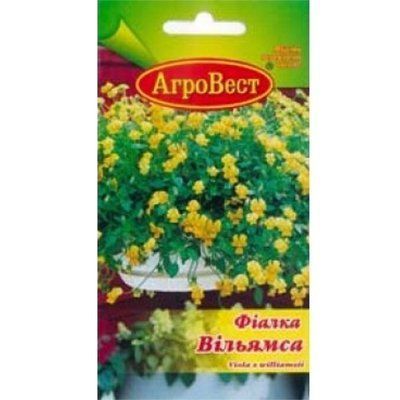 Квіти Фіалка Вільямса (ампельна) 0,1 г (АгроВест)