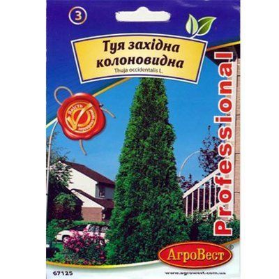 Насіння Туї західної колоновидної 0,3 г (АгроВест)