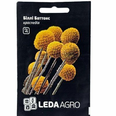 Насіння квітів Краспедія Біллі Баттонс , 0,05г(LEDAAGRO)