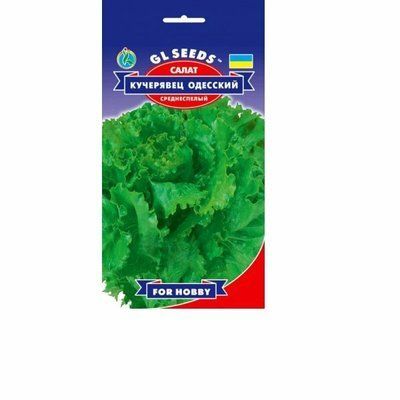 Насіння салату Кучерявець Одеський , 2 г (GL SEEDS)