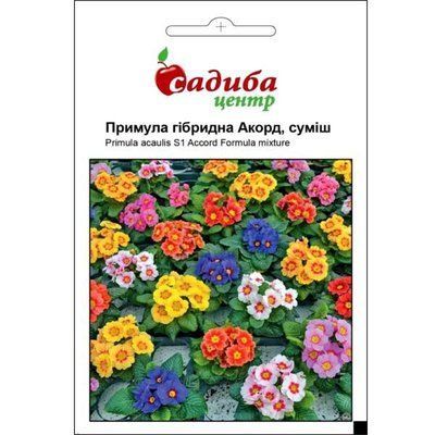 Примула акауліс Акорд F1 суміш 0,01 г (Садиба Центр)