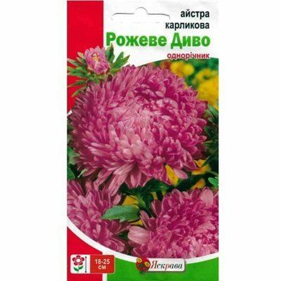 Айстра карликова Рожеве Диво 0,3 г (Яскрава)