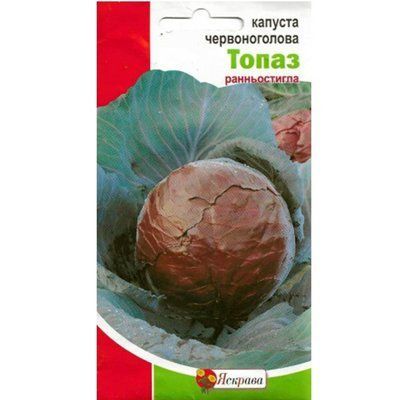 Насіння капусти червоноголової Топаз , 0,5 г (Яскрава)
