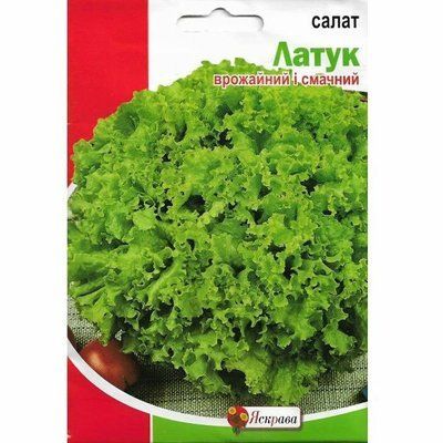 Насіння салату Латук , 1,5 г (Яскрава)