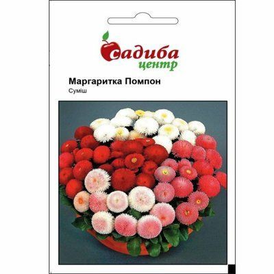 Насіння квітів маргаритка (стокротка) Помпон (суміш) 0,05 г (Садиба Центр)