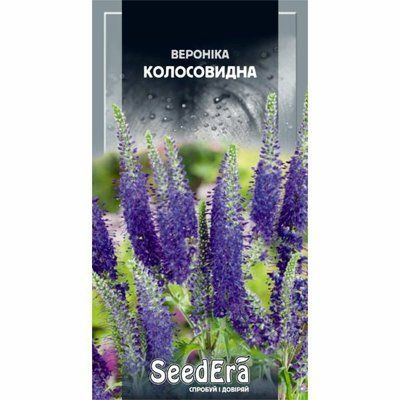 Насіння квітів Вероніка колосовидна багаторічна, 0,1 г( Seedera)