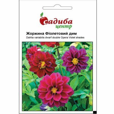 Жоржина Фіолетовий дим 0,1 г (Садиба Центр)