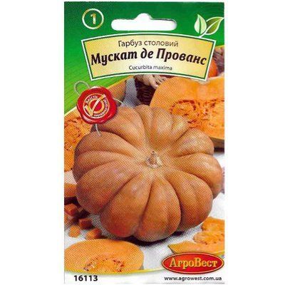 Насіння гарбуза столового Мускат де Прованс, 5 шт (АгроВест)