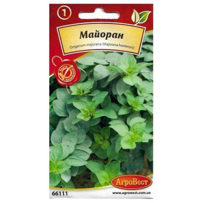 Насіння прянощів Майоран, 0,2 г (АгроВест)