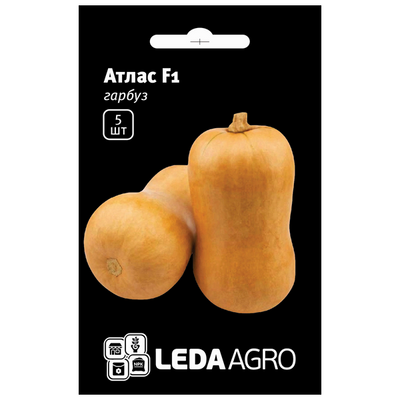 Насіння гарбуза Атлас F1, 5 шт (Leda Agro)