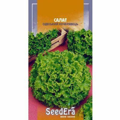 Насіння салату Одеський Кучерявець (листовий) ,1 г(Seedera)