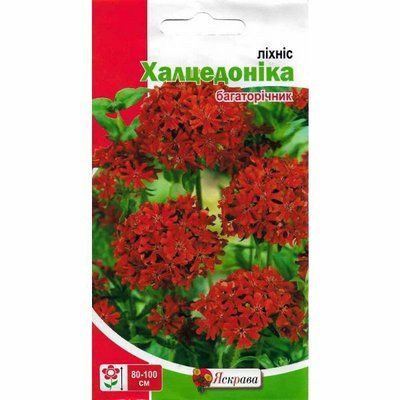 Насіння квітів Ліхніс Халцелоніка 0,1 г (Яскрава)