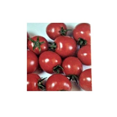 Насіння томату Конорі F1, 5 НАС (зіппер)KITANO SEEDS 4821000039229 фото