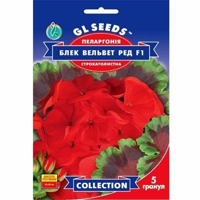 Насіння квітів Пеларгонія F1 Блек Вельвет Ред , 5 шт (GL SEEDS)