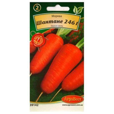 Насіння моркви Шантане 2461 , 50 г (АгроВест)