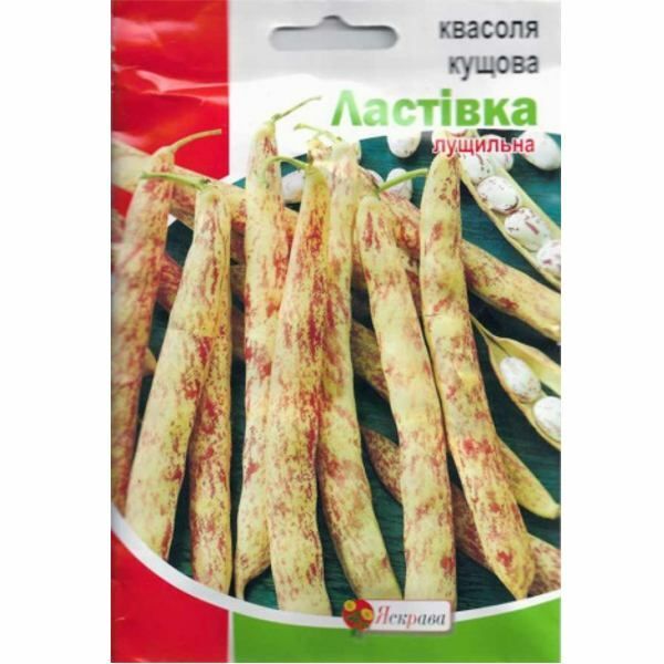 Насіння квасолі кущова Ластівка, 30 гр (Яскрава) 4823069810580 фото