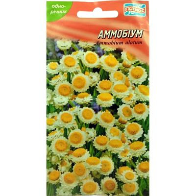 Насіння квітів Аммобіум, 0,1 г(Геліос)