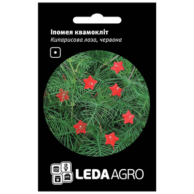 Насіння квітів Іпомея квамокліт Кипарисова лоза (червона), 0,2 г (Leda Agro)